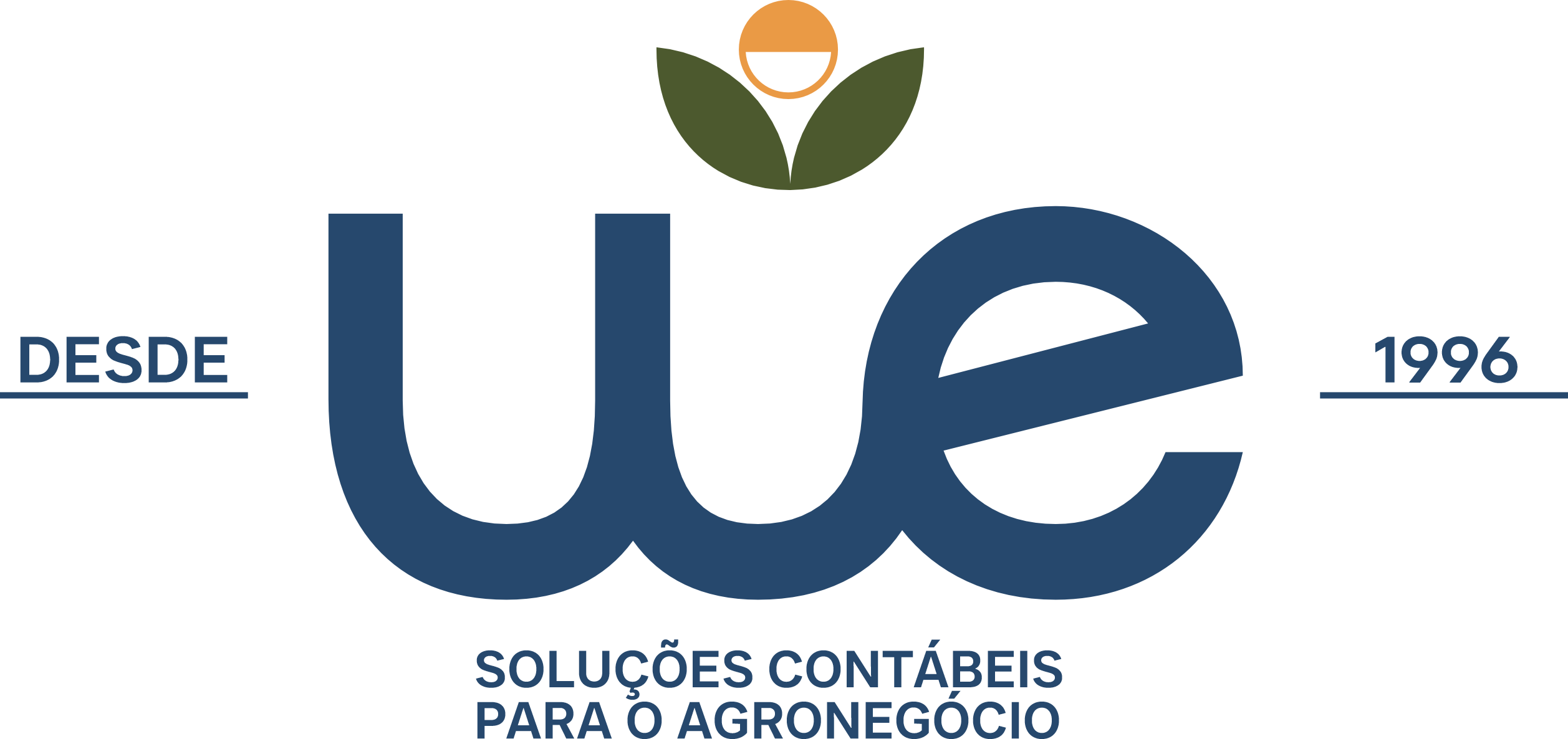 WE Consultoria